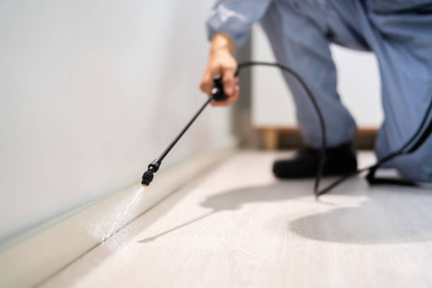 Professional exterminator conducting IPM assessment in Mountain Road